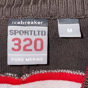 🥶❄️Icebreaker Sportltd 320 Pure Merino 1/4 Long Sleeve Sweater